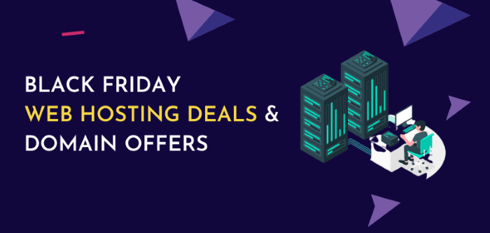 black-friday-cyber-monday-hosting-deals-in-india-2024